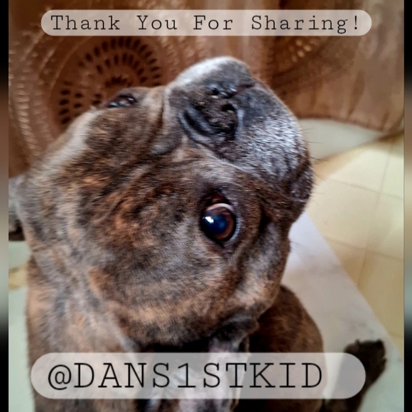 Follow & Share THE RUNWAY - Picture 3 of 16